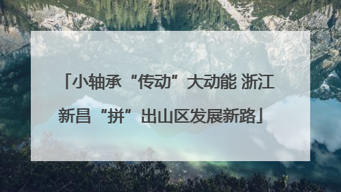 小轴承“传动”大动能 浙江新昌“拼”出山区发展新路