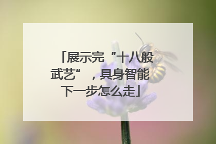 展示完“十八般武艺”，具身智能下一步怎么走