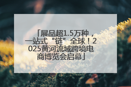 展品超1.5万种，一站式“链”全球！2025黄河流域跨境电商博览会启幕