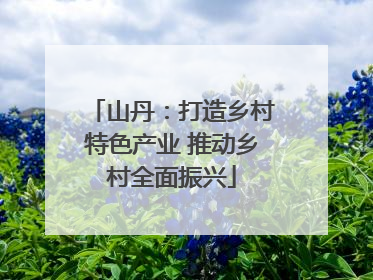 山丹：打造乡村特色产业 推动乡村全面振兴