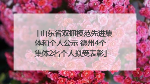 山东省双拥模范先进集体和个人公示 德州4个集体2名个人拟受表彰