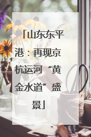 山东东平港：再现京杭运河“黄金水道”盛景