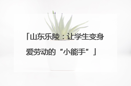 山东乐陵：让学生变身爱劳动的“小能手”