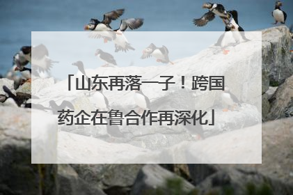 山东再落一子！跨国药企在鲁合作再深化