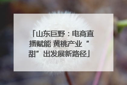 山东巨野：电商直播赋能 黄桃产业“甜”出发展新路径