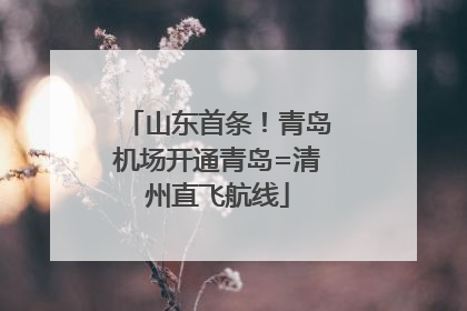 山东首条！青岛机场开通青岛=清州直飞航线