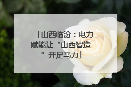 山西临汾：电力赋能让“山西智造”开足马力