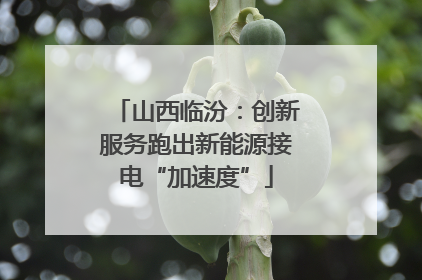 山西临汾：创新服务跑出新能源接电“加速度”