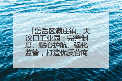 岱岳区满庄镇、大汶口工业园：完善制度、贴心护航、强化监管，打造优质营商“强磁场”