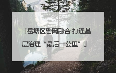岳塘区警网融合 打通基层治理“最后一公里”