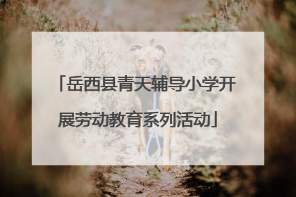 岳西县青天辅导小学开展劳动教育系列活动