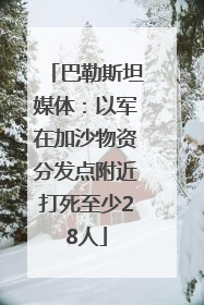 巴勒斯坦媒体：以军在加沙物资分发点附近打死至少28人