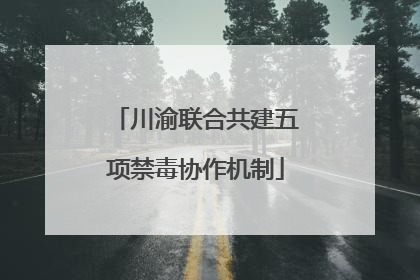 川渝联合共建五项禁毒协作机制