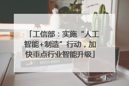 工信部：实施“人工智能+制造”行动，加快重点行业智能升级
