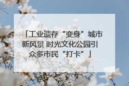 工业遗存“变身”城市新风景 时光文化公园引众多市民“打卡”