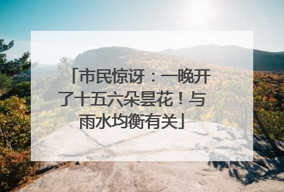 市民惊讶：一晚开了十五六朵昙花！与雨水均衡有关