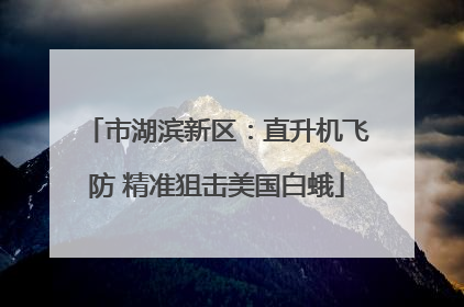市湖滨新区：直升机飞防 精准狙击美国白蛾