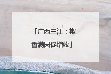 广西三江：椒香满园促增收
