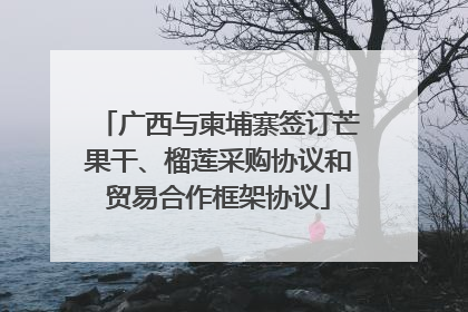 广西与柬埔寨签订芒果干、榴莲采购协议和贸易合作框架协议