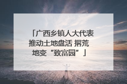 广西乡镇人大代表推动土地盘活 撂荒地变“致富园”