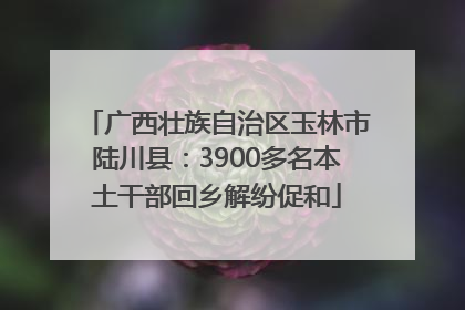 广西壮族自治区玉林市陆川县：3900多名本土干部回乡解纷促和