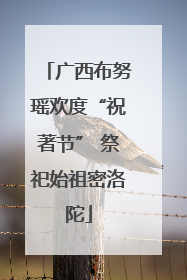 广西布努瑶欢度“祝著节” 祭祀始祖密洛陀