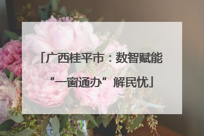 广西桂平市：数智赋能“一窗通办”解民忧