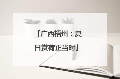 广西梧州：夏日赏荷正当时
