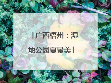 广西梧州：湿地公园夏景美