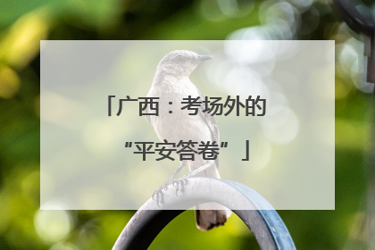 广西：考场外的“平安答卷”