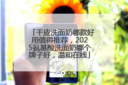 干皮洗面奶哪款好用值得推荐，2025氨基酸洗面奶哪个牌子好，温和在线