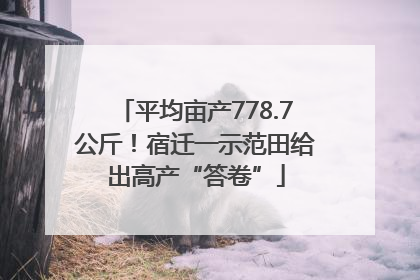 平均亩产778.7公斤！宿迁一示范田给出高产“答卷”