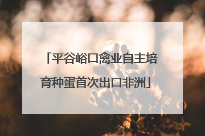 平谷峪口禽业自主培育种蛋首次出口非洲