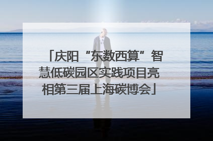 庆阳“东数西算”智慧低碳园区实践项目亮相第三届上海碳博会