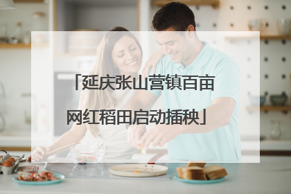 延庆张山营镇百亩网红稻田启动插秧