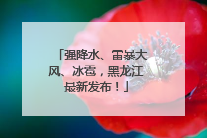强降水、雷暴大风、冰雹，黑龙江最新发布！
