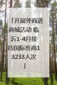 开展外商进商城活动 临沂1-4月接待国际客商13233人次