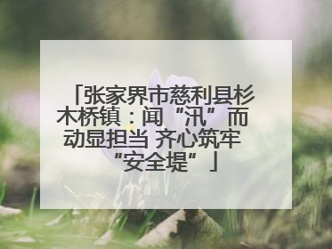 张家界市慈利县杉木桥镇：闻“汛”而动显担当 齐心筑牢“安全堤”