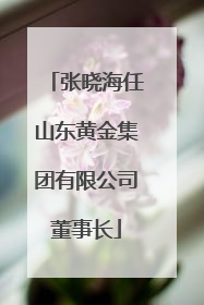 张晓海任山东黄金集团有限公司董事长