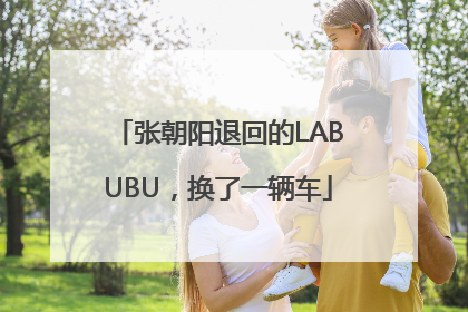 张朝阳退回的LABUBU，换了一辆车