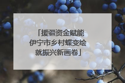 援疆资金赋能 伊宁市乡村蝶变绘就振兴新画卷
