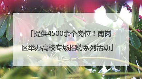 提供4500余个岗位！南岗区举办高校专场招聘系列活动
