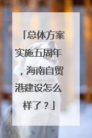 总体方案实施五周年，海南自贸港建设怎么样了？