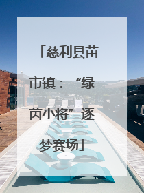 慈利县苗市镇：“绿茵小将”逐梦赛场