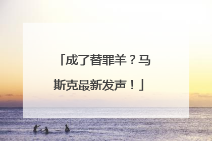 成了替罪羊？马斯克最新发声！