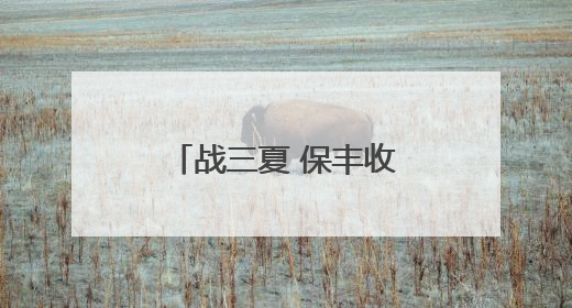 战三夏 保丰收丨新乡县：20万亩小麦种子田开启大规模收割