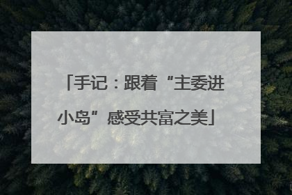 手记：跟着“主委进小岛”感受共富之美