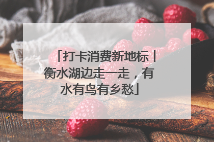 打卡消费新地标丨衡水湖边走一走，有水有鸟有乡愁