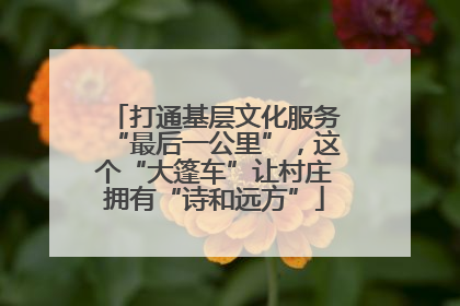 打通基层文化服务“最后一公里”，这个“大篷车”让村庄拥有“诗和远方”