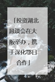 投资湖北恳谈会在大阪举办，携手深化鄂日合作